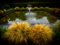 Isle of Skye, Dunvegan Castle & Gardens